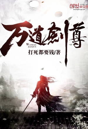 海贼之从庞克哈萨德开始